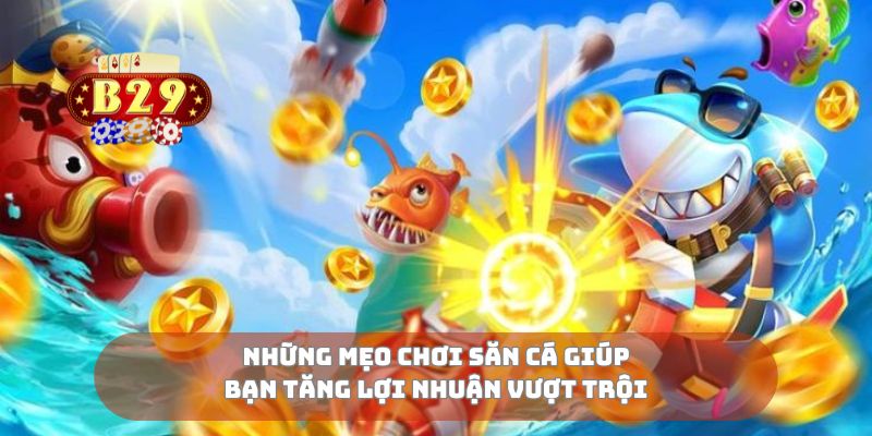 Những mẹo chơi săn cá giúp bạn tăng lợi nhuận vượt trội