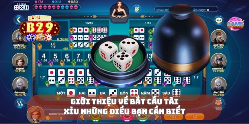 Giới thiệu về bắt cầu tài xỉu những điều bạn cần biết